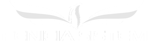 Fenicia-Sistemi-500